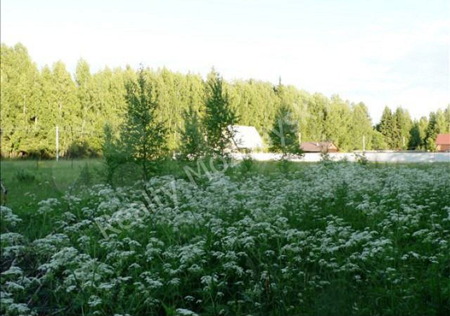Участок 10 сот. (СНТ, ДНП)