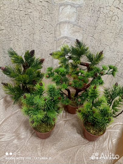 Сувенир ёлочка-банзай