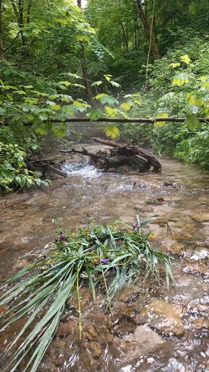 Участок 50 га (СНТ, ДНП)