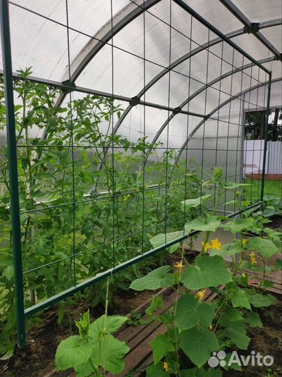 Шпалера металлическая