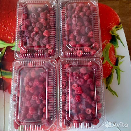 Малина ягоды свежая