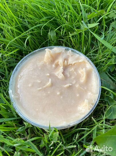 Мёд донниковый - 35 кг - оптом (в куботейнере)