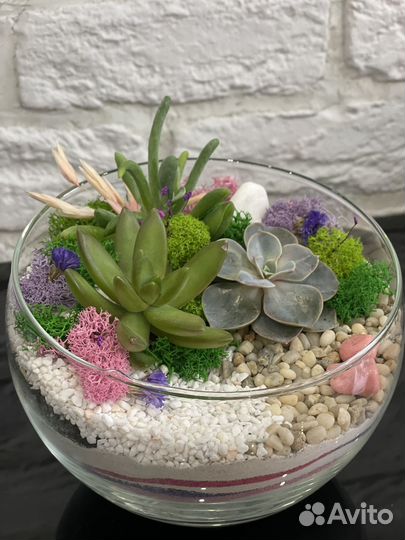 Флорариумы на учителю,воспитателю