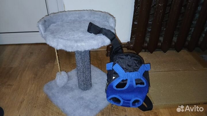 Когтеточка для кошек