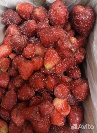 Черника заморозка