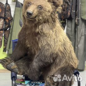 Чучело агрессивного медведя 100х100х200 см