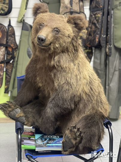 Чучело медведя(имитация)