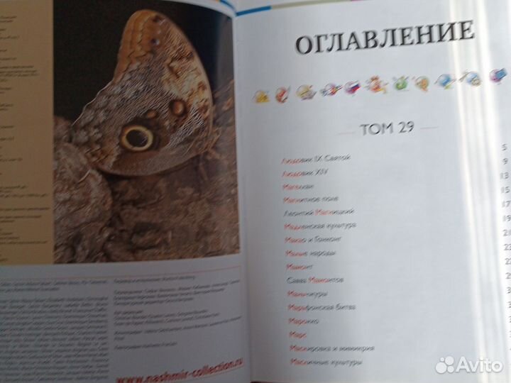 Энциклопедия для детей