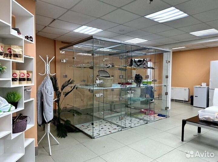 Готовый бизнес отель для животных