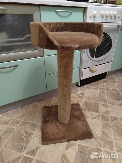 Когтеточка