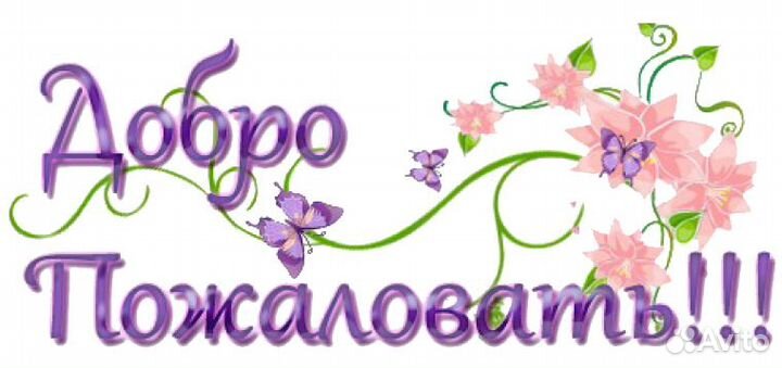 Домашняя передержка/Зоогостиница для кошек и собак