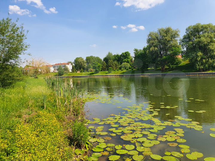 Участок 1,6 га (ИЖС)