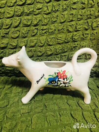 Молочник сливочник, Италия