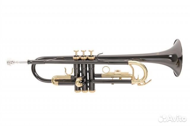 Труба Roy Benson TR-101K