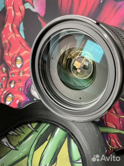 Sigma 28-70mm f/2.8 l-mount