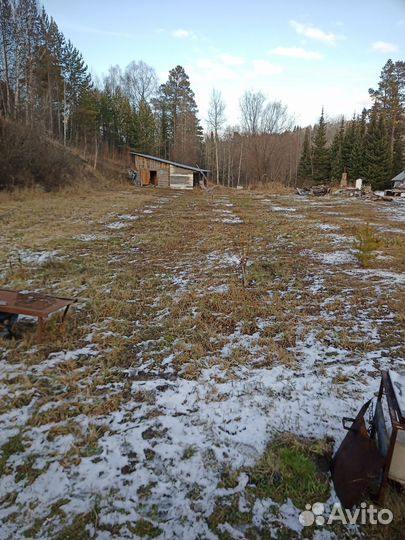 Продам пасеку