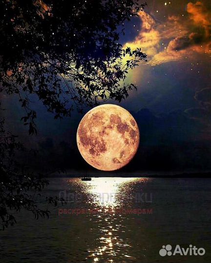 Картина по номерам 40x50 Большая полная луна и лун