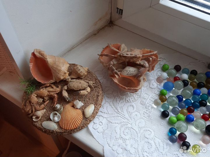 Для аквариума