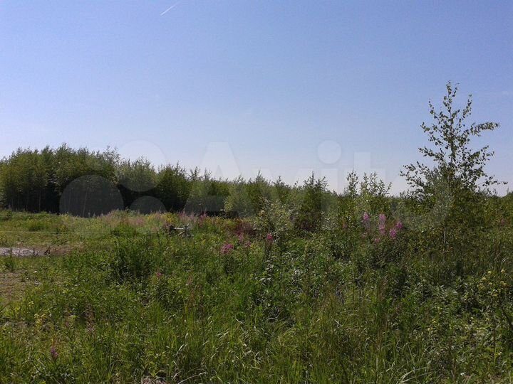 Участок 2,49 га (СНТ, ДНП)