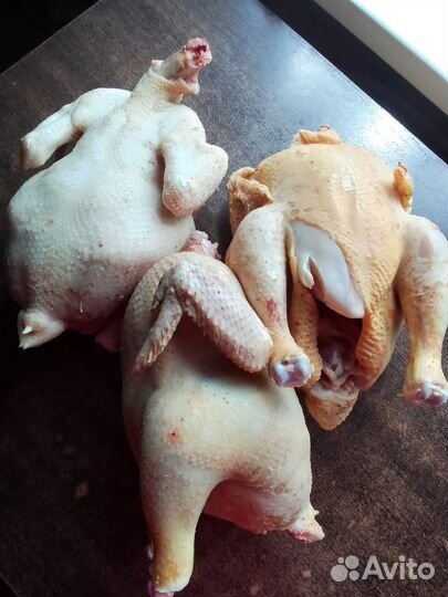 Мясо бройлера
