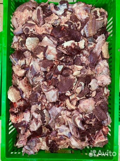 Корм для животных (Обрезь говяжья и др.)