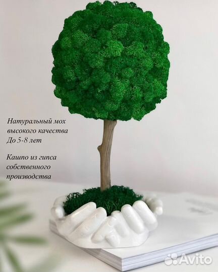 Дерево из мха