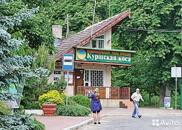 Экскурсии, Трансферы, Аэропорт на 8 мест