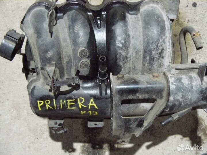 Коллектор впускной Nissan Primera P12 QR20DE