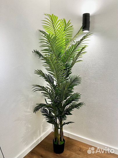 Искусственные деревья / фитокартина Тольятти