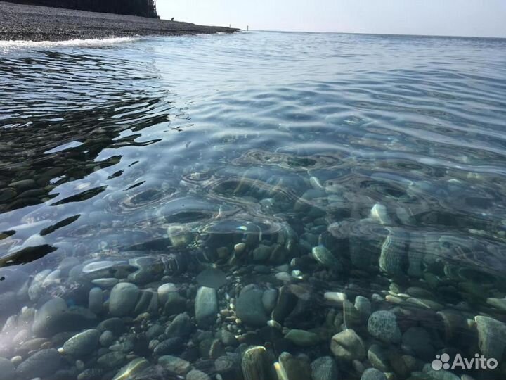 Отпуск в Абхазии на 8 ночей на море