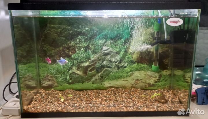 Аквариум с рыбками