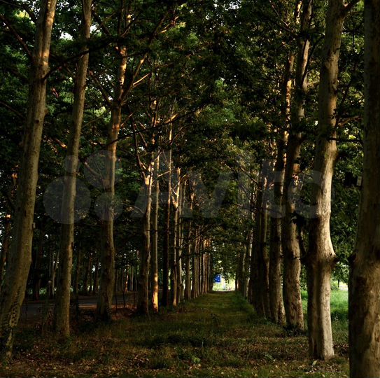 Гостиница (Грузия)