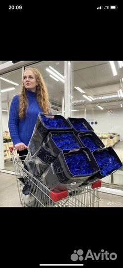 Синие розы натуральные