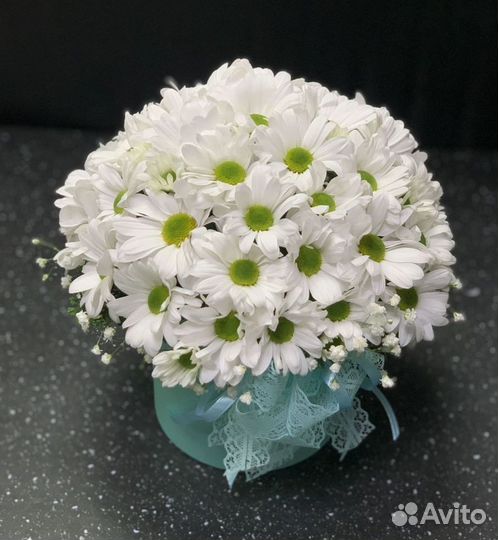 Цветы хризантемы