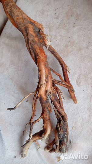 Коряги для аквариума, террариума, серпентариума