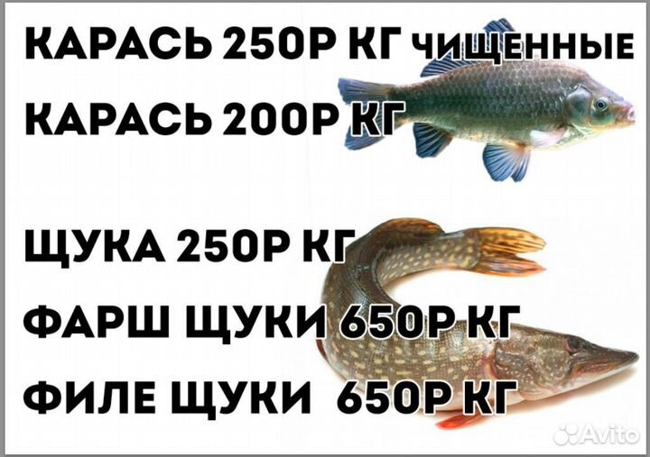 Брусника клюква