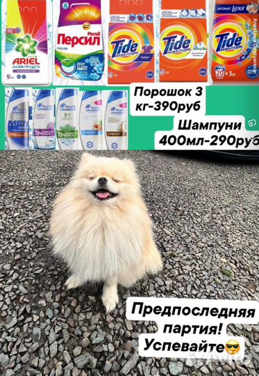 Стиральный порошок экспорт Европа