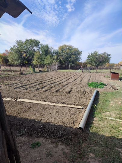 Дом 60 м² на участке 10 сот.