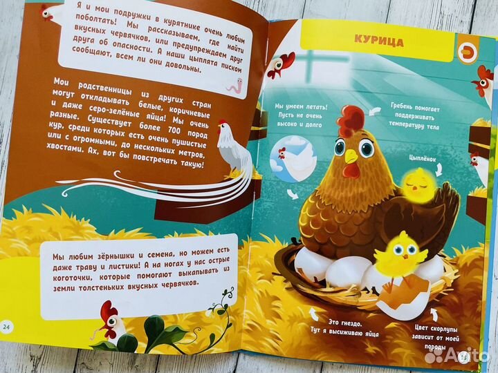 Энциклопедия в дополненной реальности