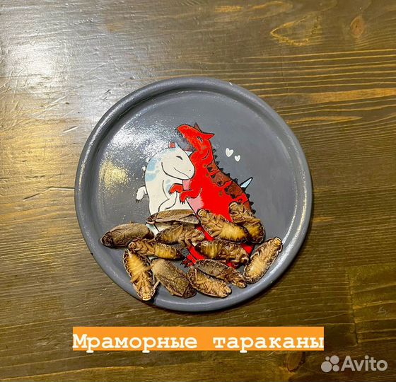 Замороженные насекомые корм