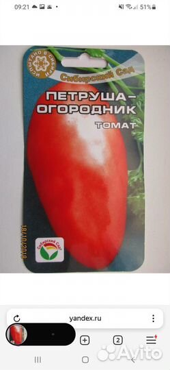 Рассада помидор