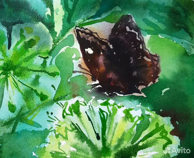 Картина бабочка акварелью