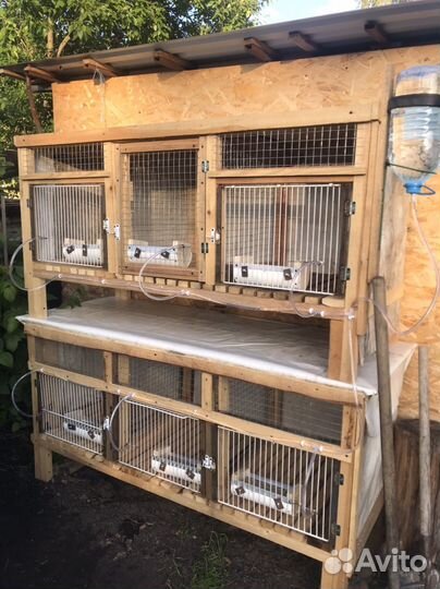 Клетка для домашнего кролика