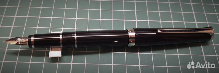 Перьевая ручка Pilot Elabo Falcon