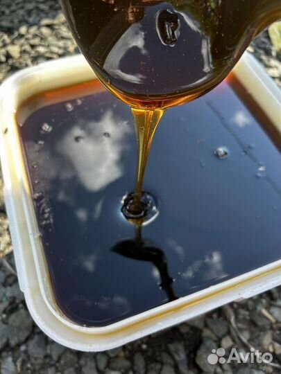 Мед Каштановый опт