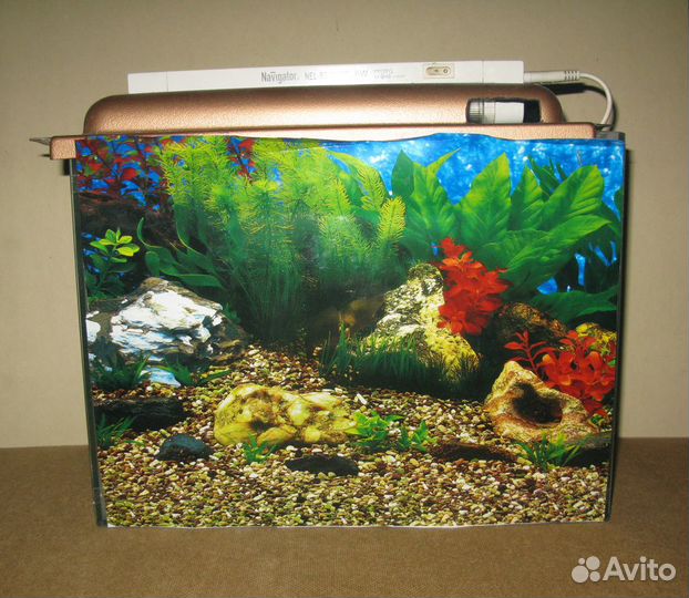 Аквариум