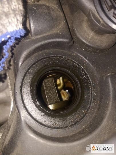 Двигатель nissan pulsar