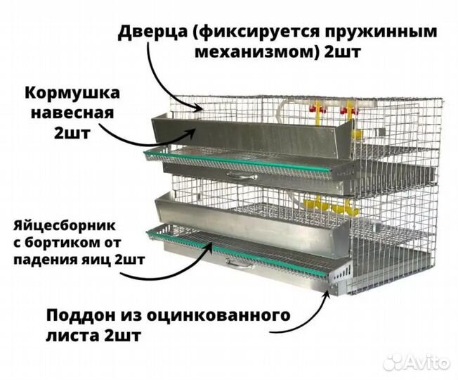 Клетка на 60 перепелов