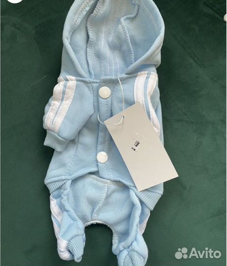 Одежда для животных