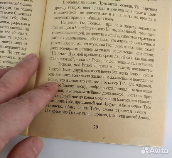 Размышления и чувства православного богомольца у г
